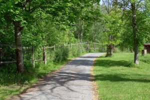 11_DK_obora024